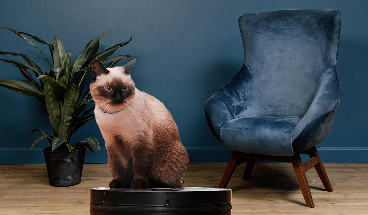 Рейтинг лучших роботов-пылесосов в 2025 году