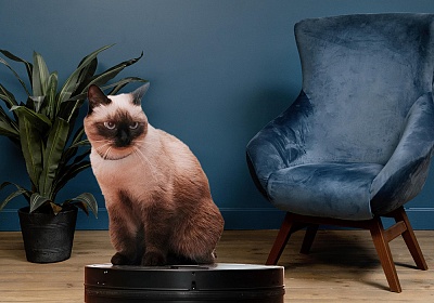 Рейтинг лучших роботов-пылесосов в 2025 году